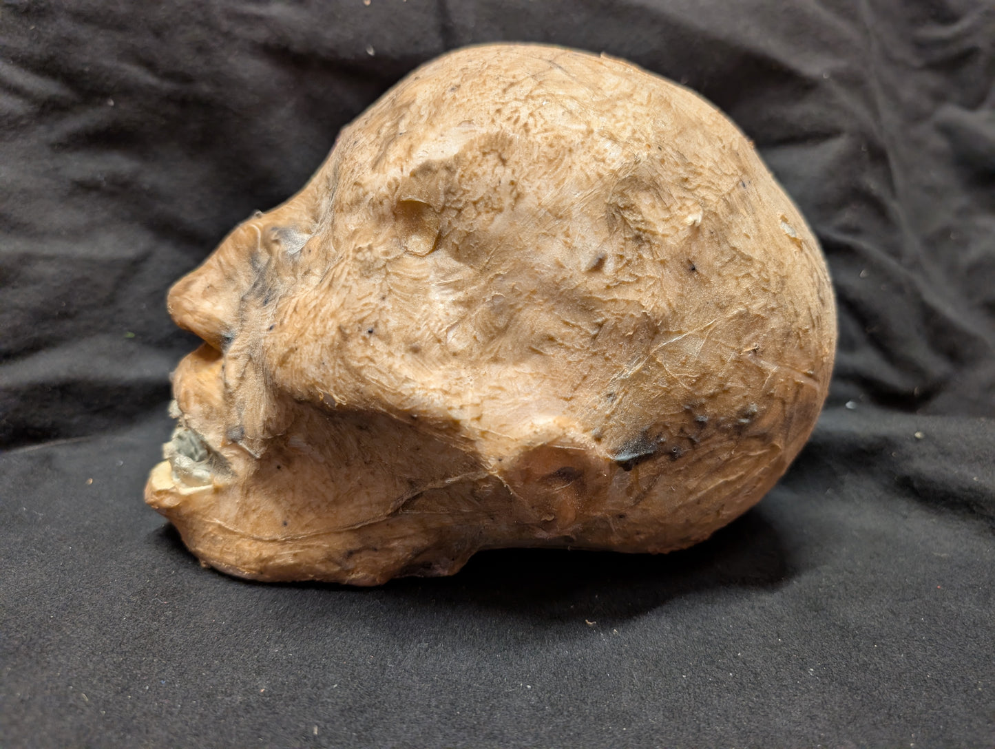 Blinded Mummy Head