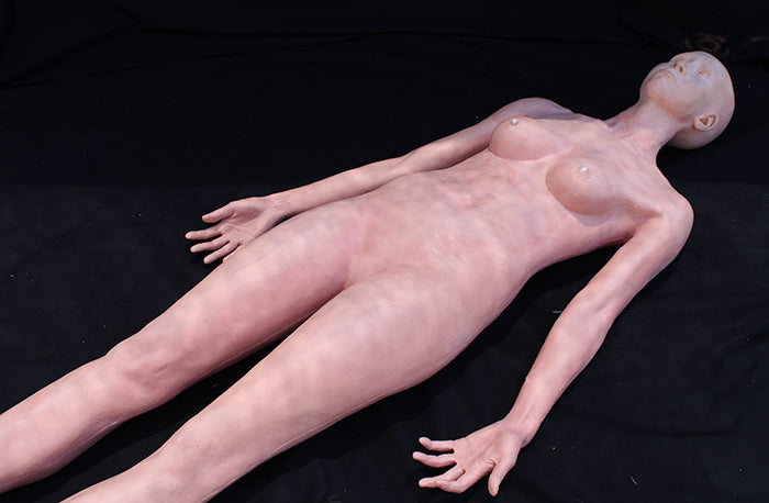 Full Body