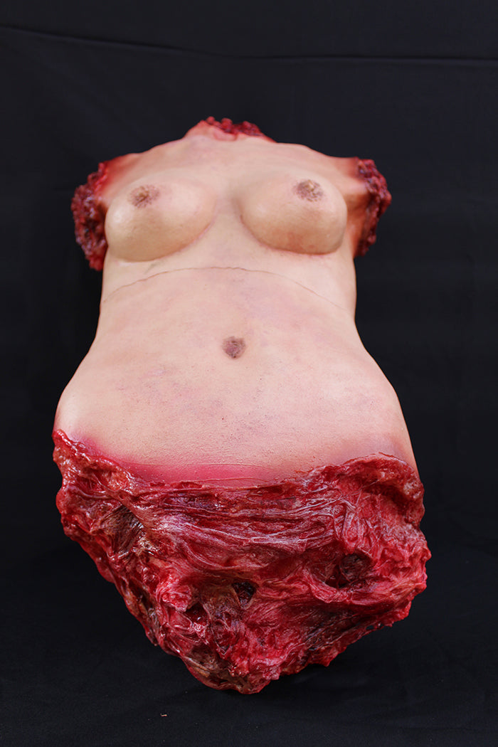 Torso