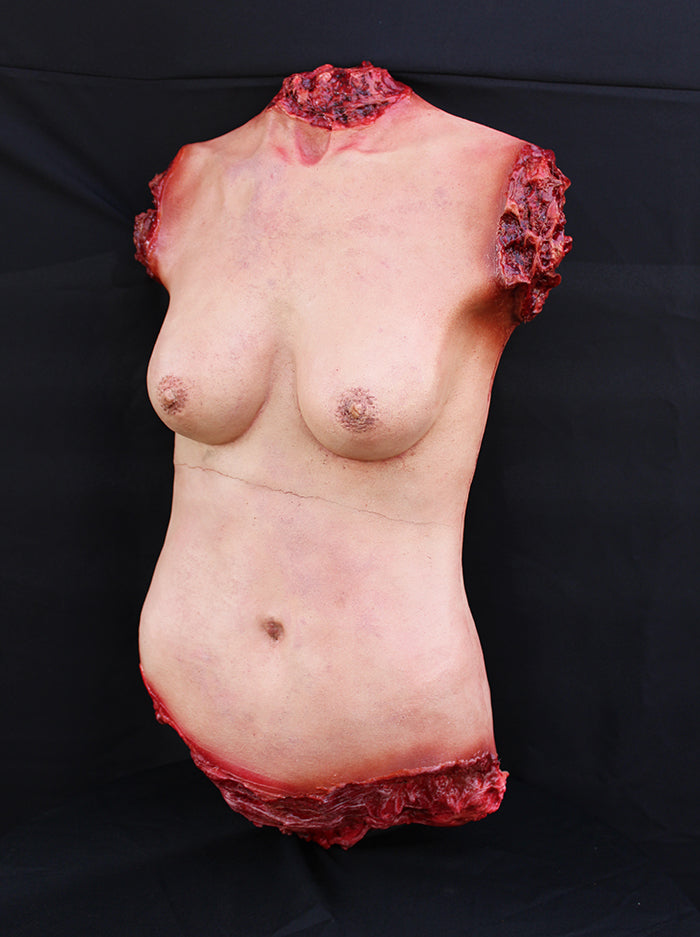 Torso