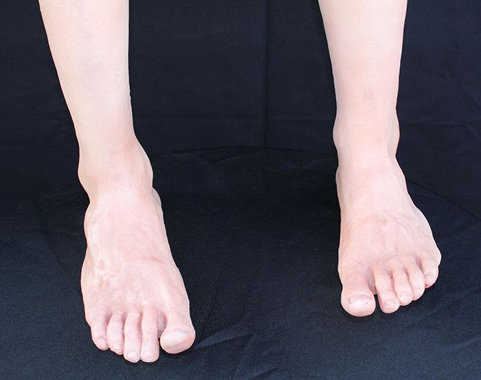 Feet (Pair)