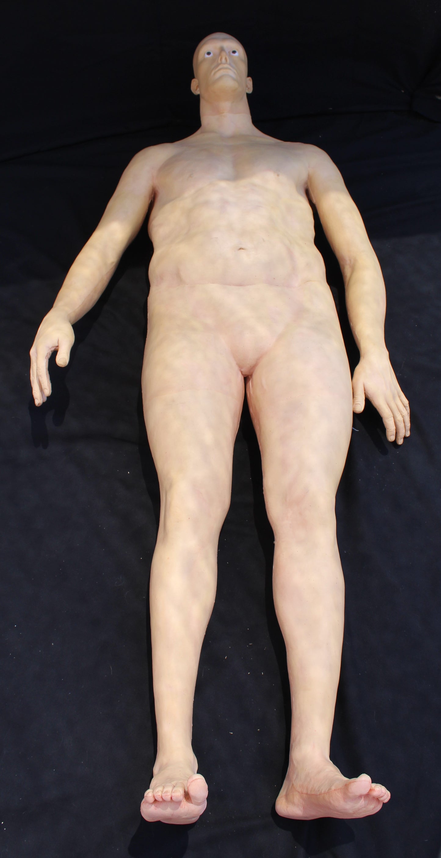 Full Body