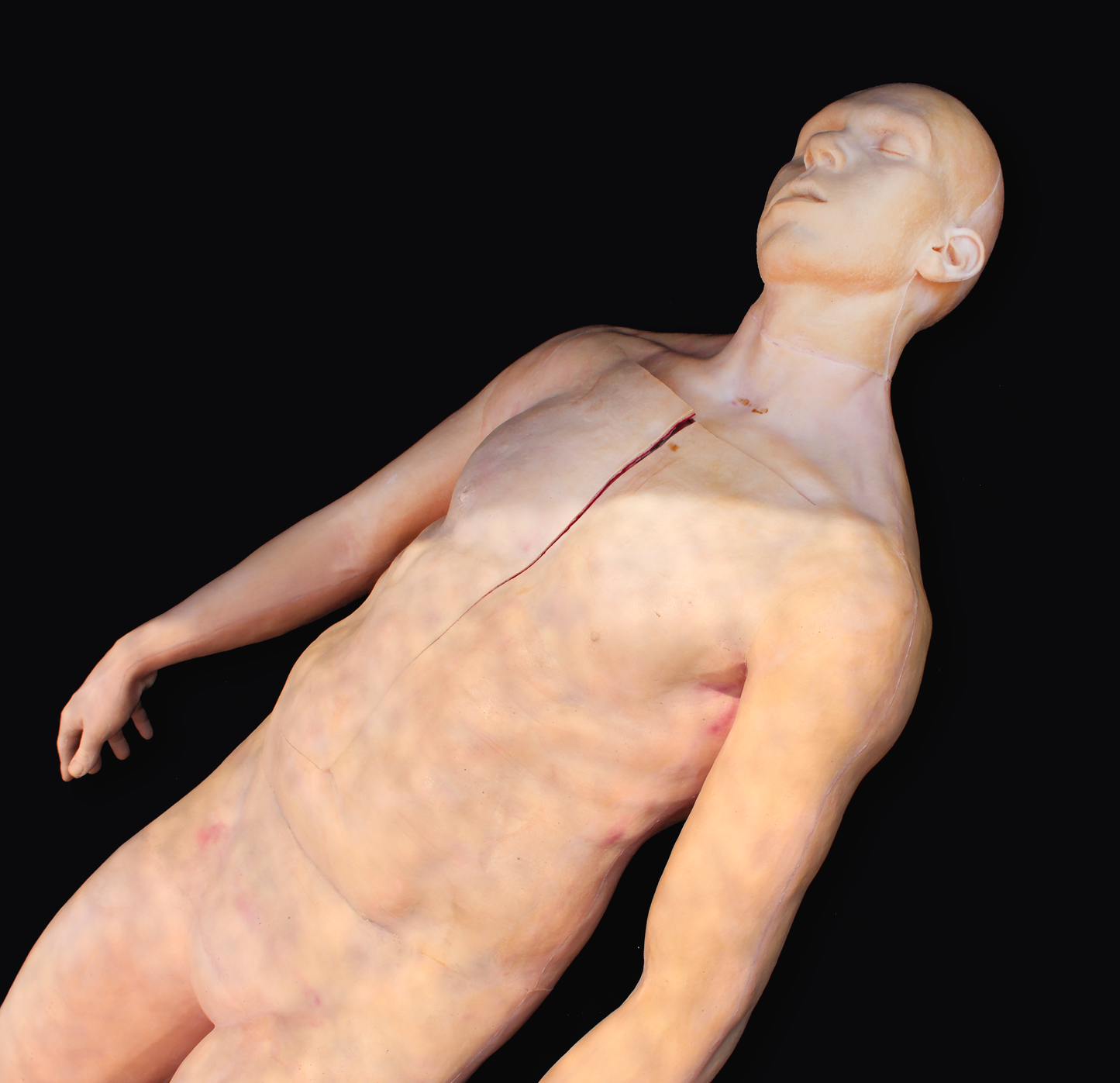 Full Body