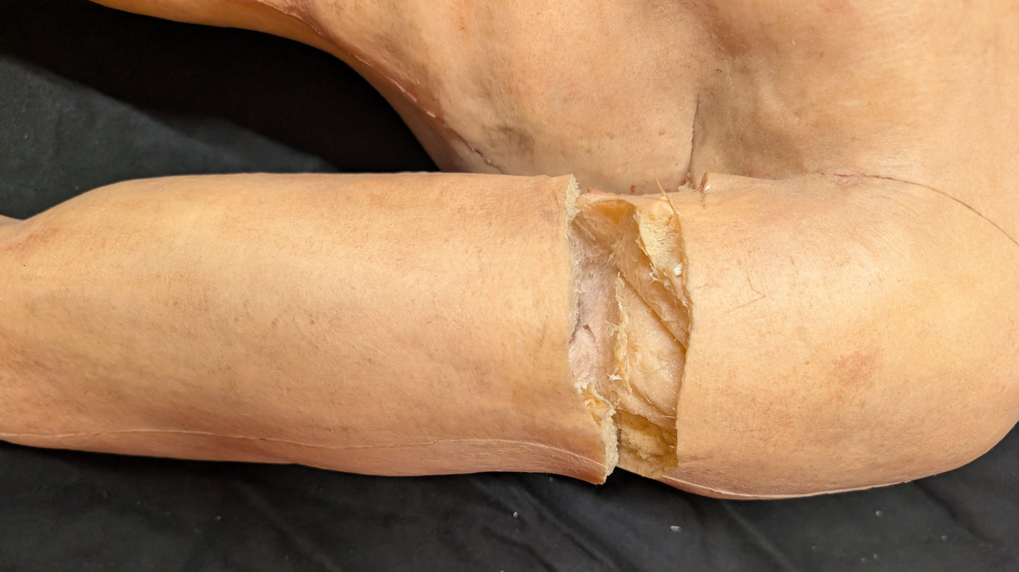 Full Body - Rick (Damaged, As Is)