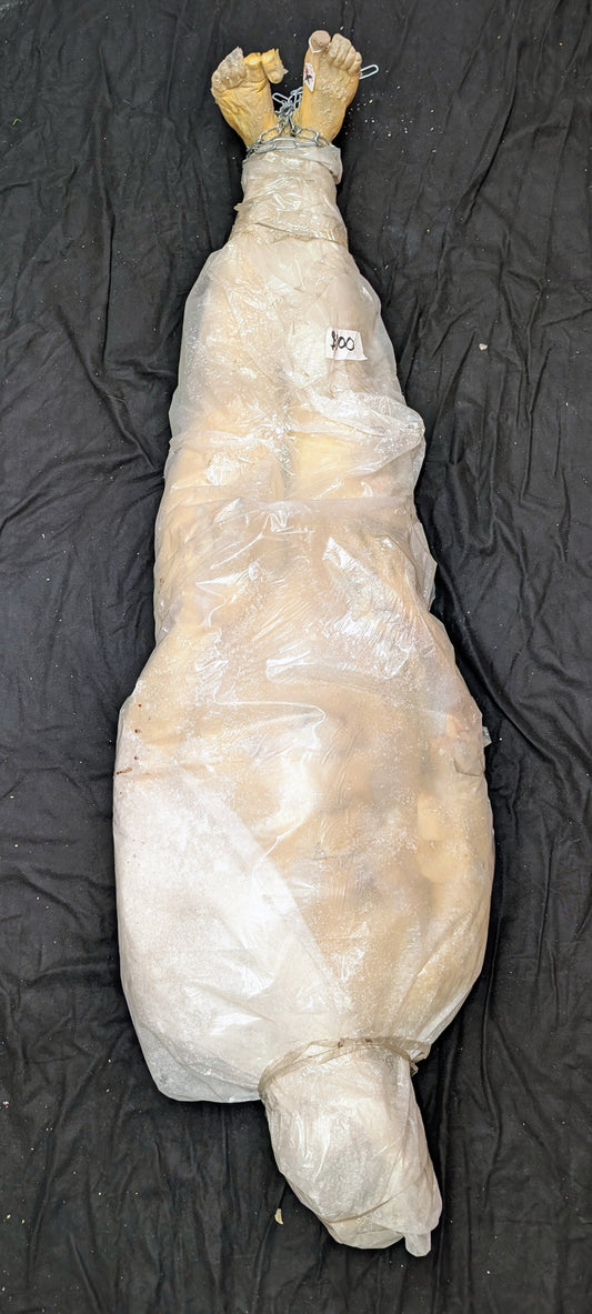 Hanging Frozen Corpse - Male