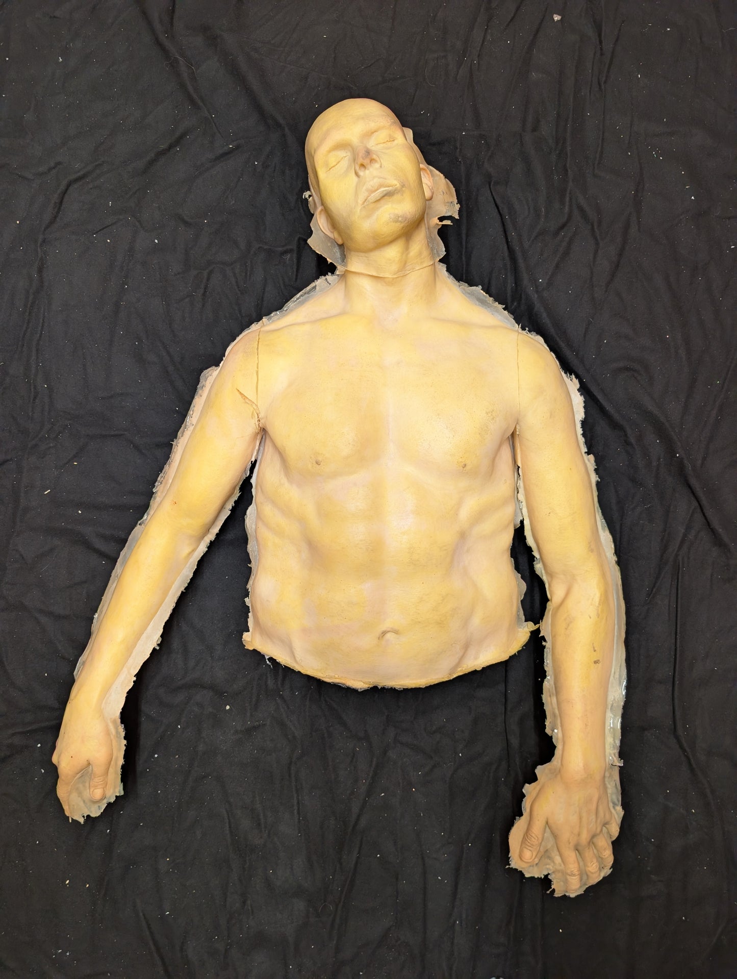 Male Half Body (Top) - Albert