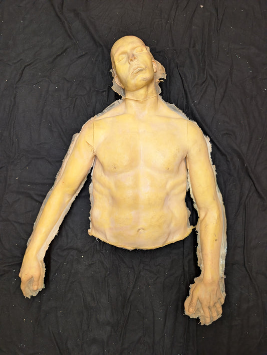 Male Half Body (Top) - Albert