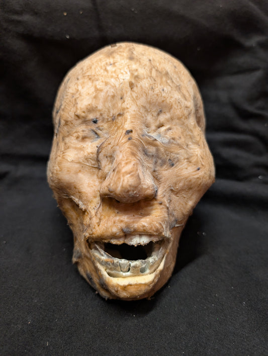 Blinded Mummy Head