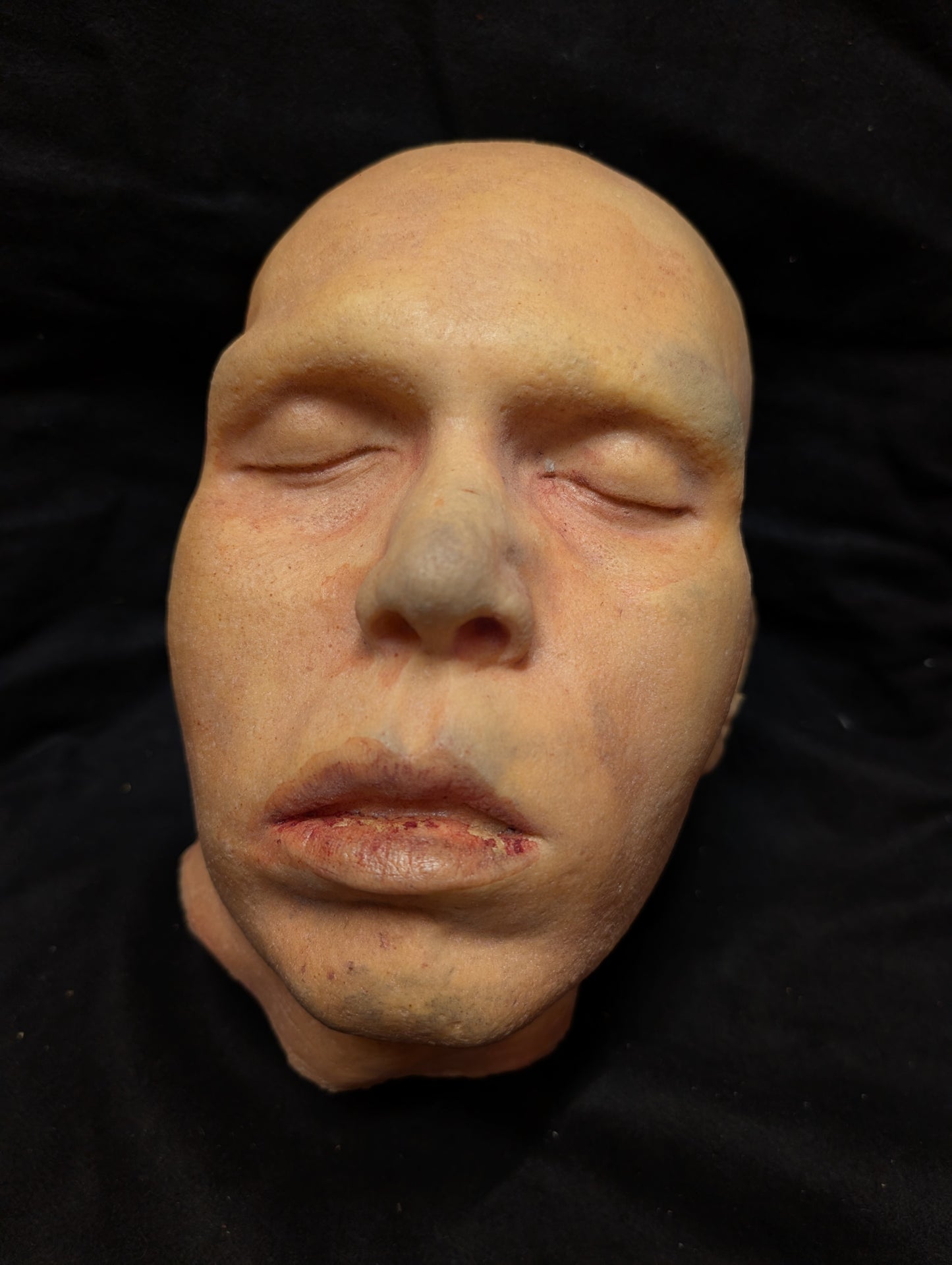 Head - Albert (As Is)