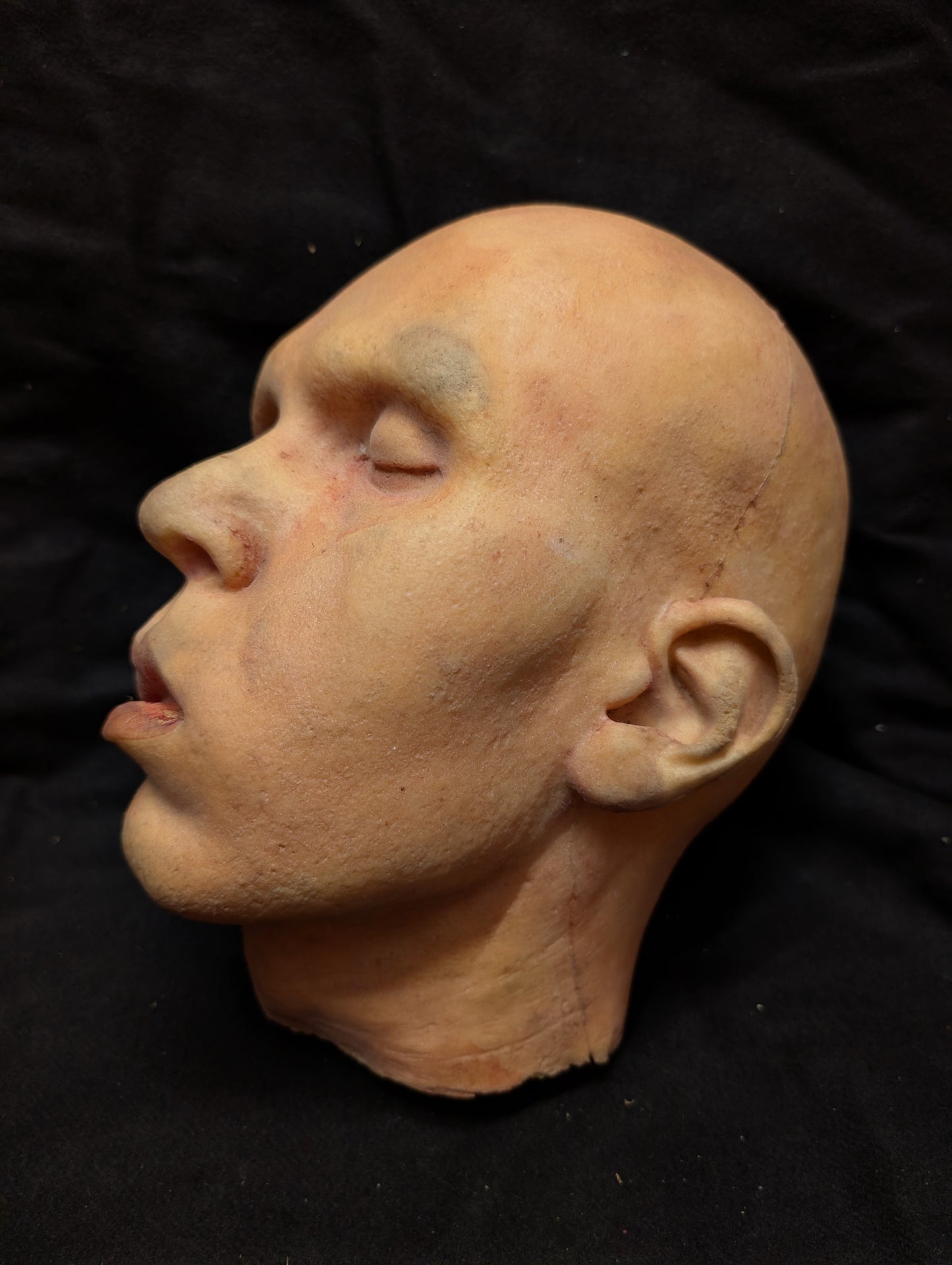 Head - Albert (As Is)